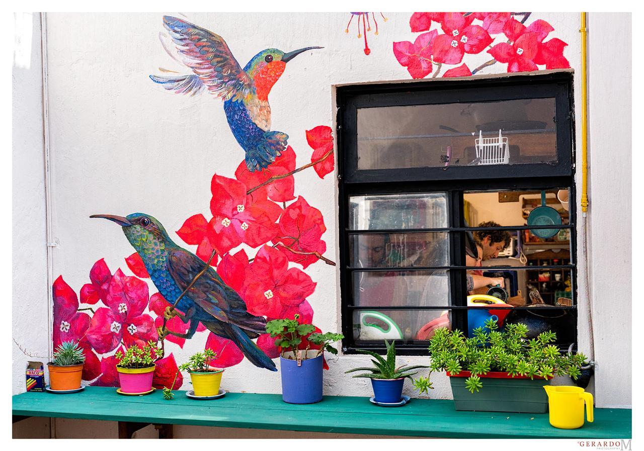 Hostel Mirador San Cristóbal de Las Casas Eksteriør bilde
